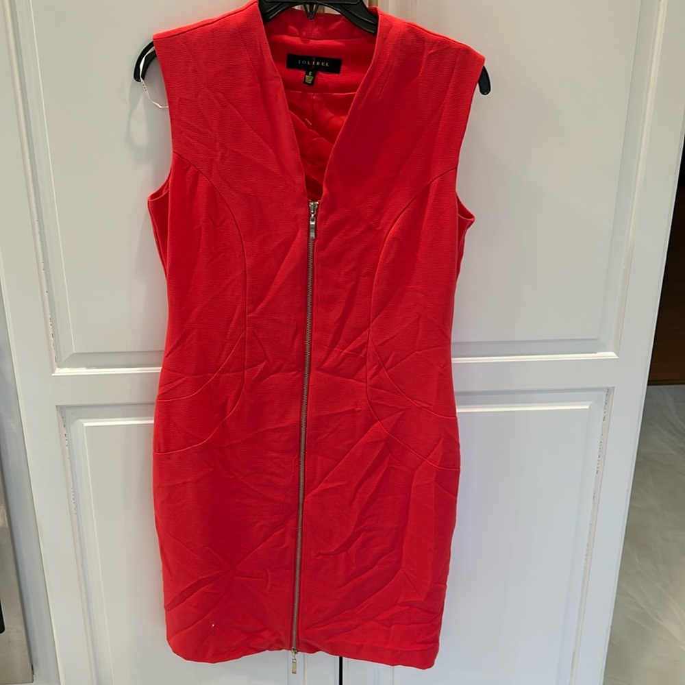 Pink dress which gold zipper 
Size 6